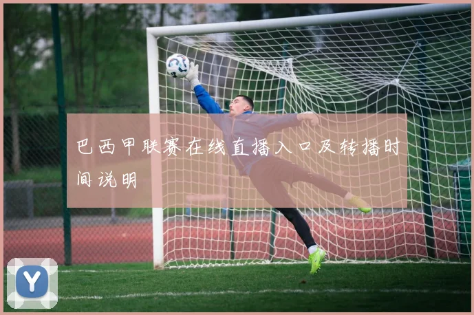 巴西甲联赛在线直播入口及转播时间说明