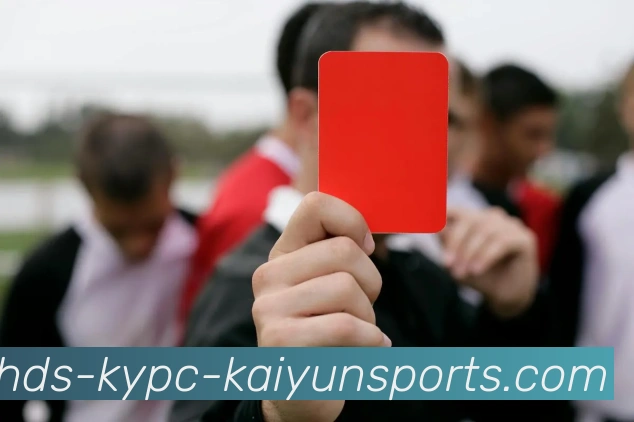 开云体育APP 高清赛事图